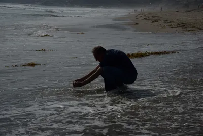 DSC_2279 (Large).JPG